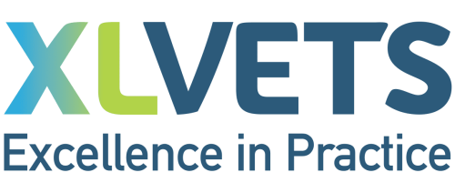 XLVets Logo